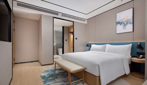Deluxe-Suite, 1 King-Bett