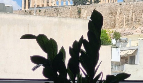Deluxe-Apartment
