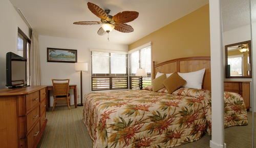Standard-Suite, 1 Schlafzimmer, Nichtraucher, Küche