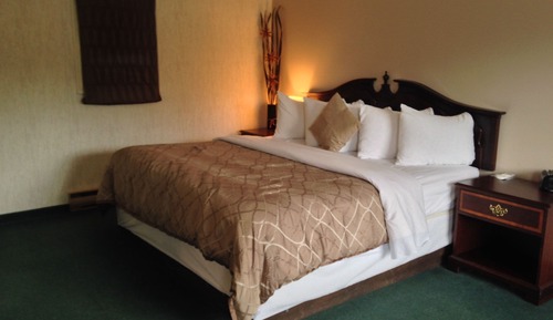 Suite, 1 King-Bett