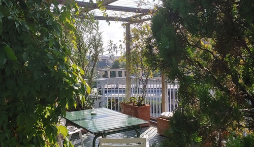 Comfort-Doppel- oder -Zweibettzimmer, 1 Schlafzimmer, Terrasse, Executive-Etage