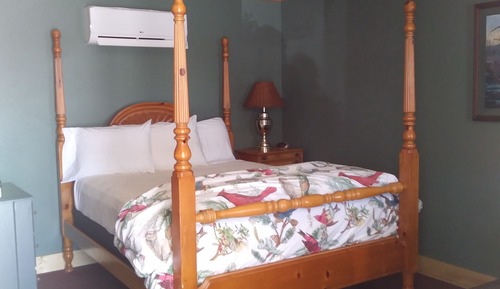 Basic-Zimmer, 1 Queen-Bett