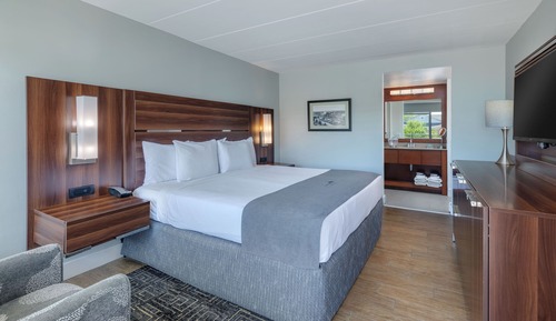 Standard-Einzelzimmer, 1 King-Bett