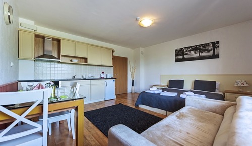 Familienstudio (2 adults + 1 child)