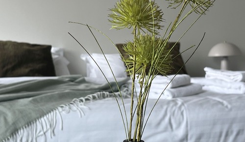 Standard-Zweibettzimmer