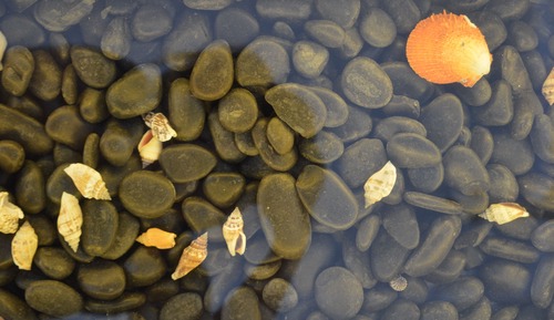 Apartment, 2 Schlafzimmer, Meerblick