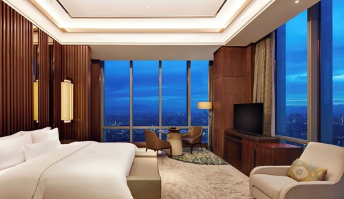 Presidential-Suite, 1 King-Bett