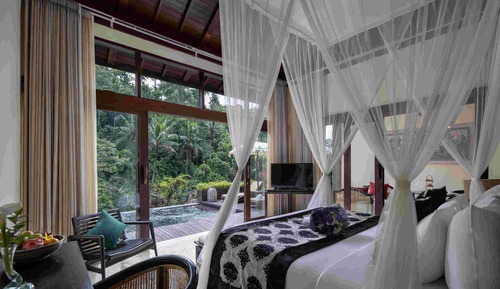 Zimmer (Jungle Pool View)