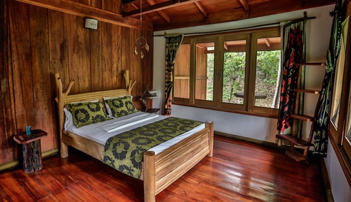 Suite (Double Room )