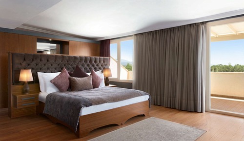Presidential-Suite, 1 King-Bett