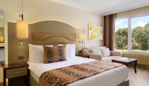 Deluxe-Zimmer, 1 Queen-Bett