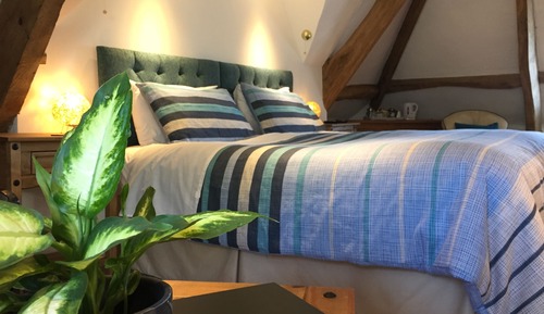 Premium-Zweibettzimmer