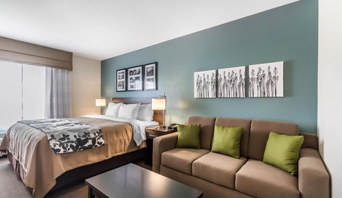 Suite, 1 King-Bett, barrierefrei, Nichtraucher