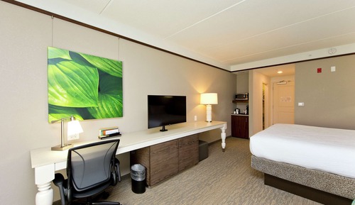 Zimmer, 1 King-Bett und Schlafsofa, Nichtraucher