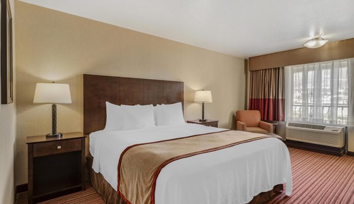 Standardzimmer, 1 King-Bett, Nichtraucher, Kühlschrank und Mikrowelle