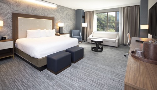 Mountain Premium Room 1 King Non Smoking