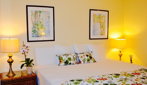 Basic-Apartment, 1 King-Bett und Schlafsofa, Poolblick