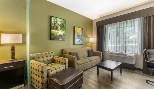 Suite, 1 King-Bett, Nichtraucher, Kühlschrank und Mikrowelle (Larger Room;with Sofabed)