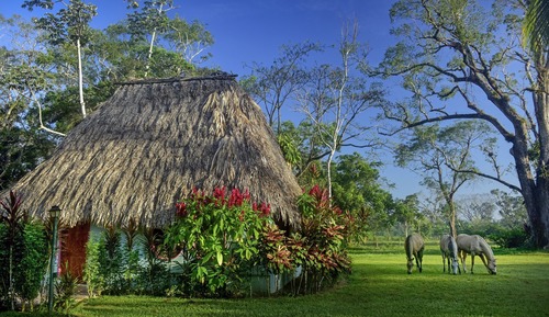 Traditional-Ferienhütte, 2 Schlafzimmer, Nichtraucher, Gartenblick