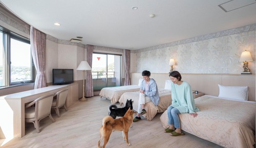 Panoramic-Dreibettzimmer, Nichtraucher, Seeblick (Corner)