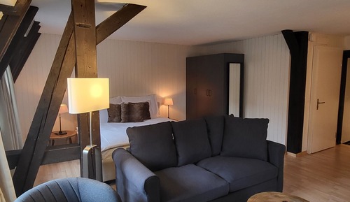 City-Apartment, 1 Schlafzimmer