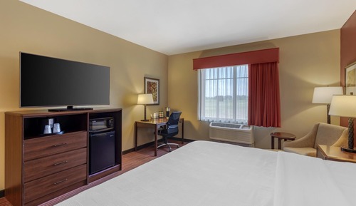 Suite, 1 King-Bett, Nichtraucher, Kühlschrank und Mikrowelle (Shower Only;with Sofabed)