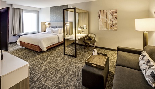 Suite, 1 King-Bett und Schlafsofa, Nichtraucher (Mobility Accessible, Tub)