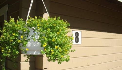 Ferienhütte, Gemeinschaftsbad, Seeblick (Quadruple)