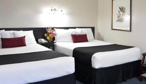 Queen Room with Two Queen Beds (Breakfast included)