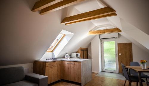 Standard Triple Studio