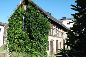 Bischoffen Haus | Koans Kuhstall - the ultimate rural retreat