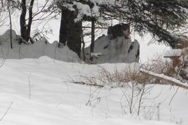 Lindberg Wohnung | Ferienhaus Arberblick Ludwigsthal 2