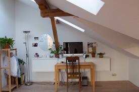 Wiehre Wohnung | Dachzimmer mit einzigartiger Aussicht (Wiehre)