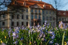 Brandis Sonstige | Schloss Brandis bei Leipzig #3
