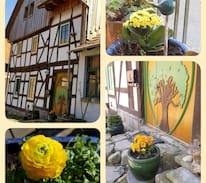 Herleshausen Sonstige | A cottage in Herleshausen