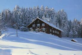 Steibis Bed & Breakfast | Steibis mit Bio-Frühstück plus kostenlosem Skipass