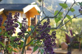 Ellenz-Poltersdorf Sonstige | Tiny tiny house: Cozy Moselle Cottage (CozMoCo)