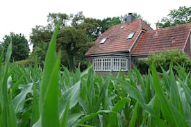 Dangasterweide Haus | Kleines Schmuckstück mit Deichblick in Dangast