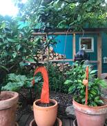 Grantschen Haus | Tiny-House im Weinsberger Tal