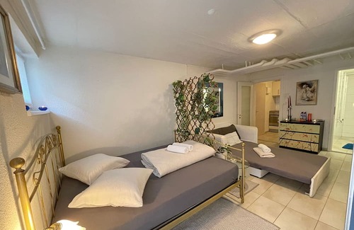Basel City Centre Eigentumswohnung | Cozy Place Whit Fast Wifi 3 min From Rhine