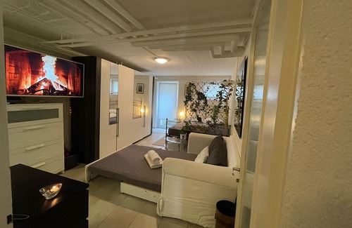 Basel City Centre Wohnung | Fast Wifi 3 min to Rhein Comfy Bed