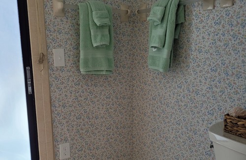 Palm Harbor Haus | Release and Relax swimming pool or fishing right out your back door