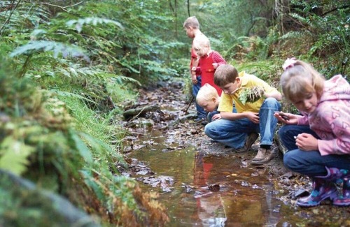 Pickering Kabine | 3 bedroom accommodation in Pickering