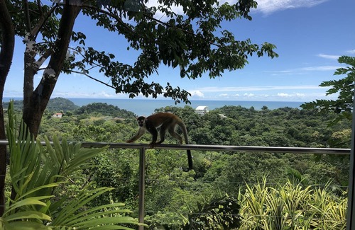 Valle Pura Vida Haus | Impressive ocean and sunset views- 5br Home in Manuel Antonio with Infinity Pool