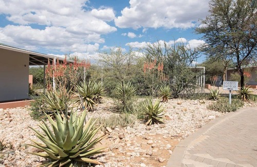 Windhoek Haus | Ideal Location! Spacious Accommodation, Pools, Short Drive to Maerua Mall!