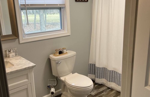 Lyndhurst Haus | Cozy Creekside Home with the National Forest at your back door !