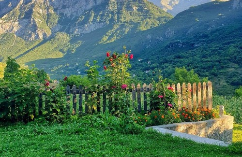 Curraj I Eperm Haus | 5 Minutes from the Center/best View/bio Food, Calmly!