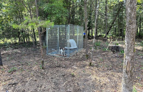 Starkville Wohnmobilvermietung | Campsite out of Starkville Mississippi. Great for MSU Games and Activities.