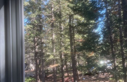 Nederland Kabine | Slice of Wild Heaven: Magical, Cozy, Forest Cabin @ the Top of the World. Views
