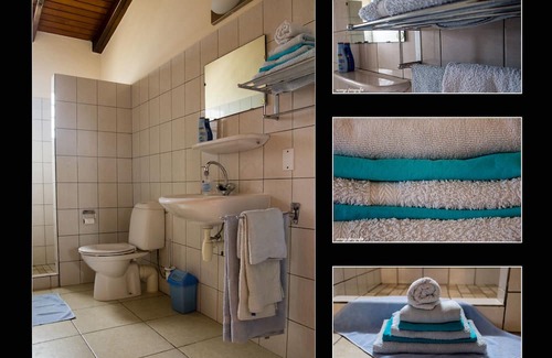 Sabal Palm Haus | Bonaire: Sabal Palm 50 guesthouse
